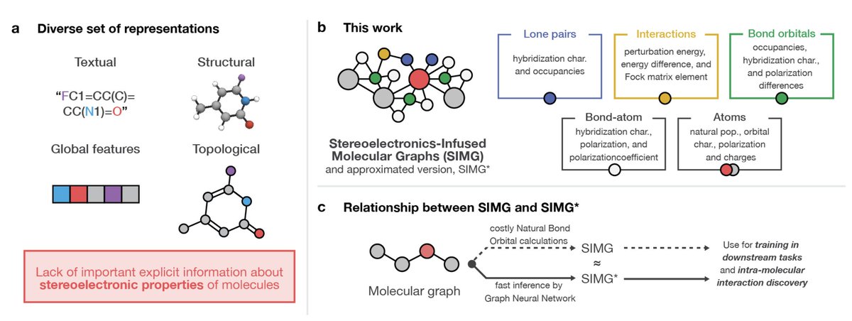 Fascinating new work from the <a href="/gabepgomes/">Gabe Gomes</a> group. The team developed Stereoelectronics-Infused Molecular Graphs (SIMGs) that incorporate quantum chemical orbital interactions into molecular representations. This work goes beyond traditional molecular graph representations by