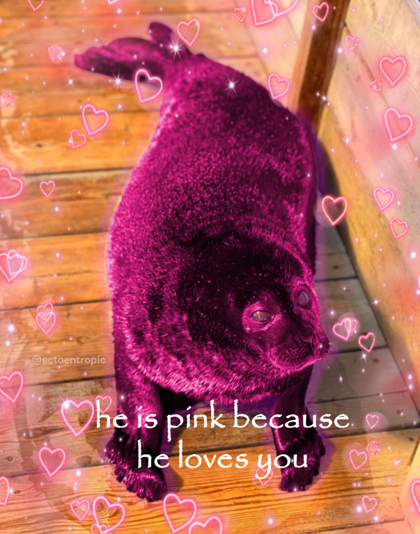 jaron (@ectoentropic) on Twitter photo 