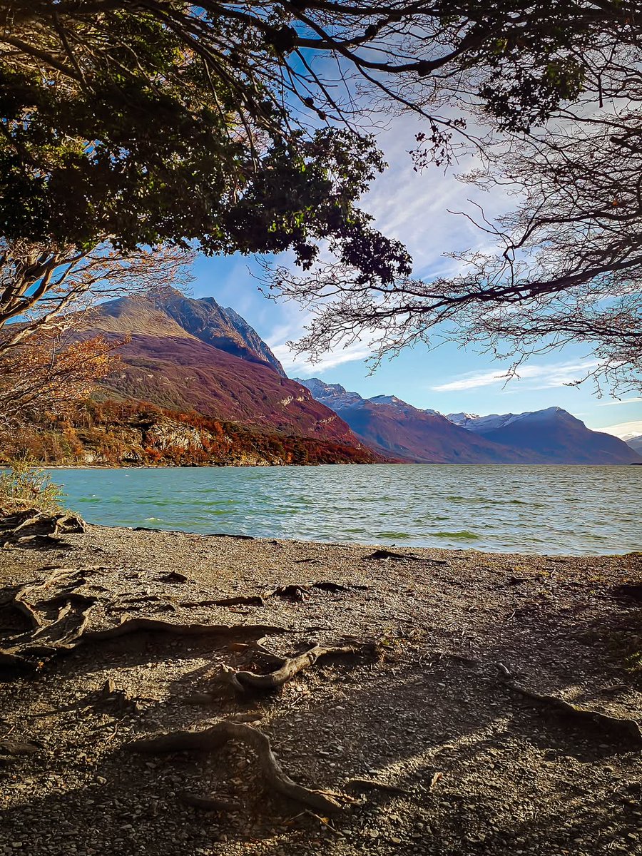 soymariche's tweet photo. Tardes de caminata y trekking bordeando el #LagoRoca, Parque Nacional Tierra del Fuego. Hay troncos y piedras para sentarse! Agarren abrigo, bolsito y termo! #soybeludeush 👏🏼Patagonia Argentina🥾🎒🍂☕🧉 https://t.co/arZd2g9TAY