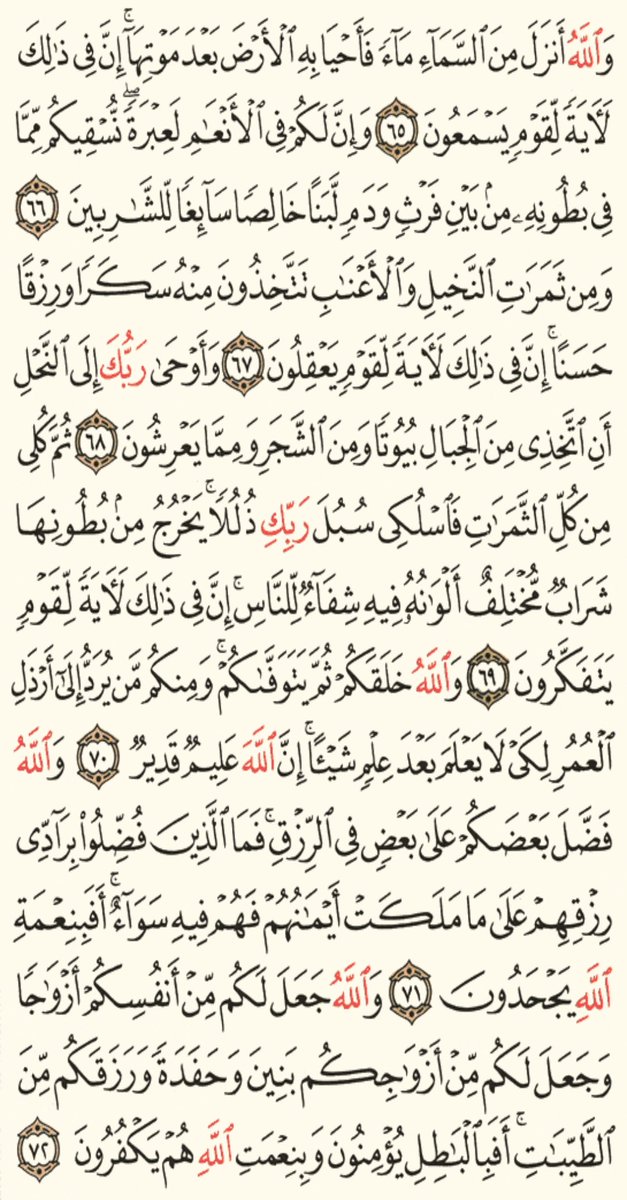 school__qran's tweet photo. بسم الله نبدا تلاوة 

#القرآن طبيب القلوب وغذاء الارواح

 اجعل من وقتك24ساعه وقت للاخره 

فالحياه اشبه بالحلم وحين ياتينا الموت نستيقظ من،هذا الحلم الئ الحقيقه
#ورد_اليوم_
من #الجزء_14
#سورة_النحل
من ص273الى276
شارك الاجر #رتويت https://t.co/HwG0yTODn1