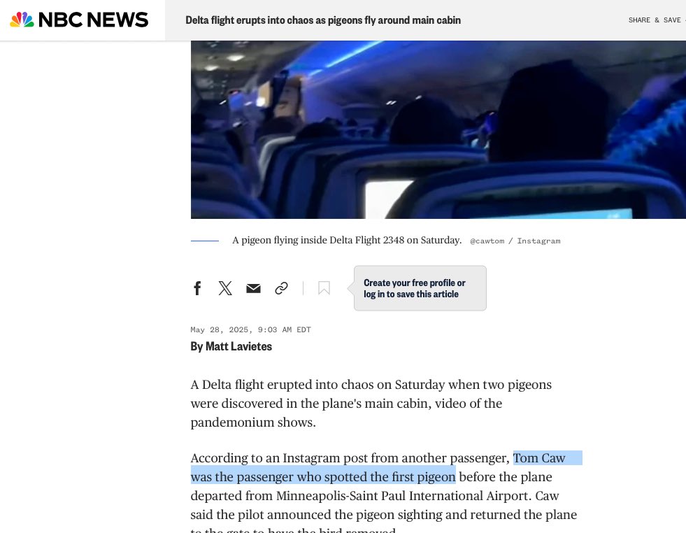 Rahul Shankar tweet media