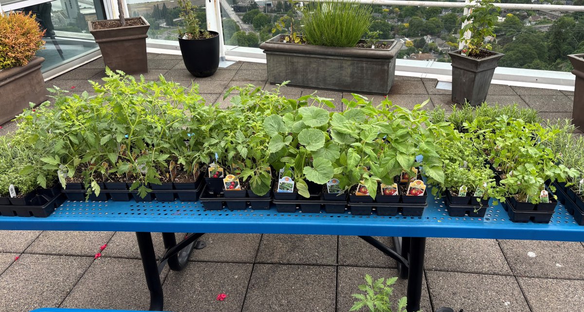 ShrinersPDX's tweet image. We decided that one week was not enough time to appreciate all of our staff, so May is Hospital MONTH around here. Featuring a plant giveaway, a catered Hawaiian lunch, massages and more, we thank you for all that you do!
#HospitalWeek #StaffAppreciation