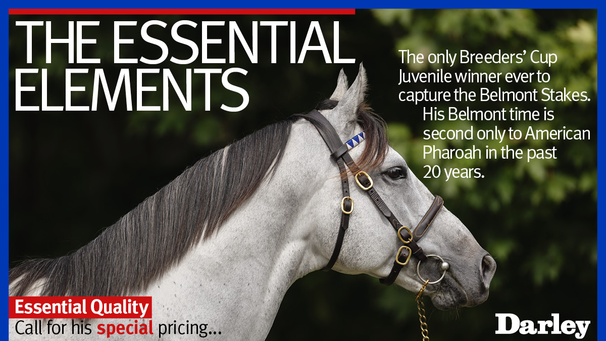 Darley in America (@darleyamerica) on Twitter photo 