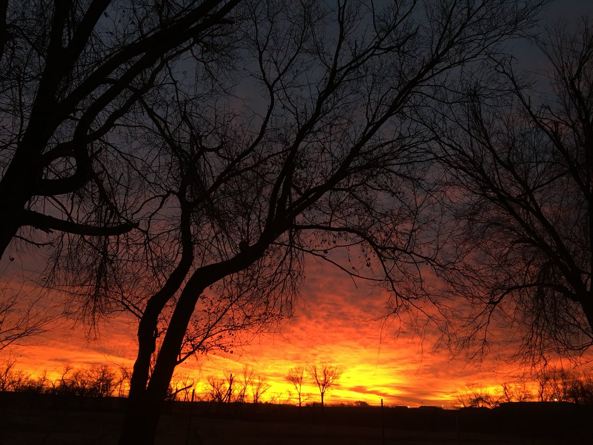 POST a picture YOU took!

Ok- here we go!
1 morning of 17 years of sunrises from my old office.  They never got old and this is one of my favorites.♥️❤️💛