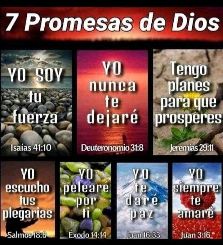 Si crees verás la Gloria De Dios.