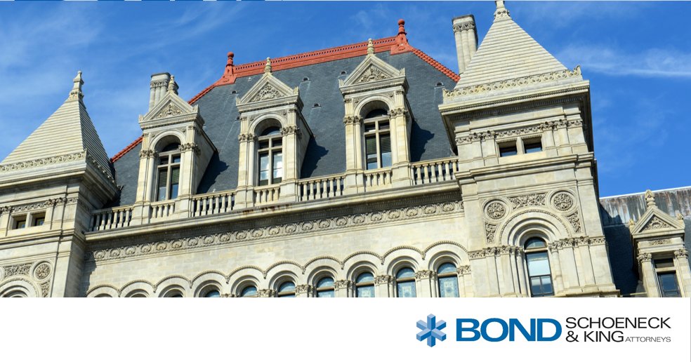 "A Contingency Budget Like None Other: Destabilizing Federal Medicaid Proposals Dangle Like Damocles’s Sword Over New York’s Health Care System," by Bond attorneys Nicole Macris and Gabriel Oberfield. Learn more here: bit.ly/3SoGjCM.