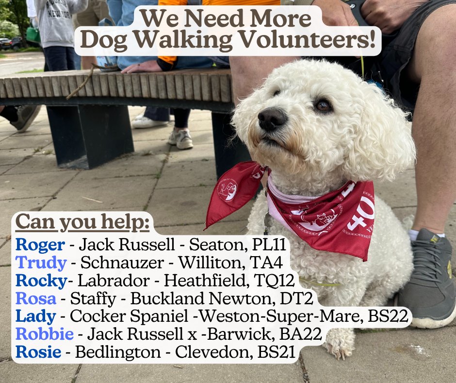 Dog walking volunteers, we need you! 💪

Do you find yourself missing dog companionship? Looking for a way to give back to your community? Or simply want some motivation to get outside and stay active? Well, we have the answer! 🚶‍♀️

We have a number of lovely pooches who we are