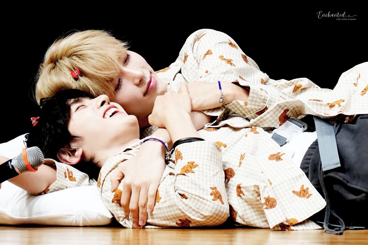 내 마음이 쉬는 곳, 아르카사. tweet media