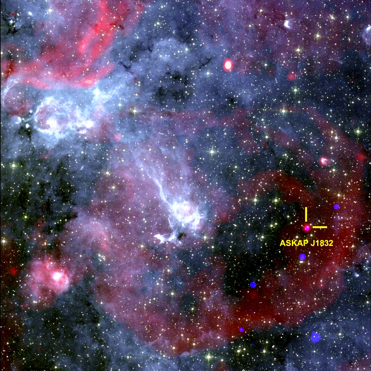 Institute of Space Sciences (ICE-CSIC) (@ice_csic) on Twitter photo 🗞️ Detected a transient object emitting pulses in both radio waves and X-rays
🔭 This is the first time long-period transients have been detected in X-rays. It was detected with <a href="/CSIRO_ATNF/">CSIRO_ATNF</a>'s ASKAP radio telescope and NASA's <a href="/chandraxray/">Chandra Observatory</a>.
➡️shorturl.at/ulslb 🗞️ Detected a transient object emitting pulses in both radio waves and X-rays
🔭 This is the first time long-period transients have been detected in X-rays. It was detected with <a href="/CSIRO_ATNF/">CSIRO_ATNF</a>'s ASKAP radio telescope and NASA's <a href="/chandraxray/">Chandra Observatory</a>.
➡️shorturl.at/ulslb