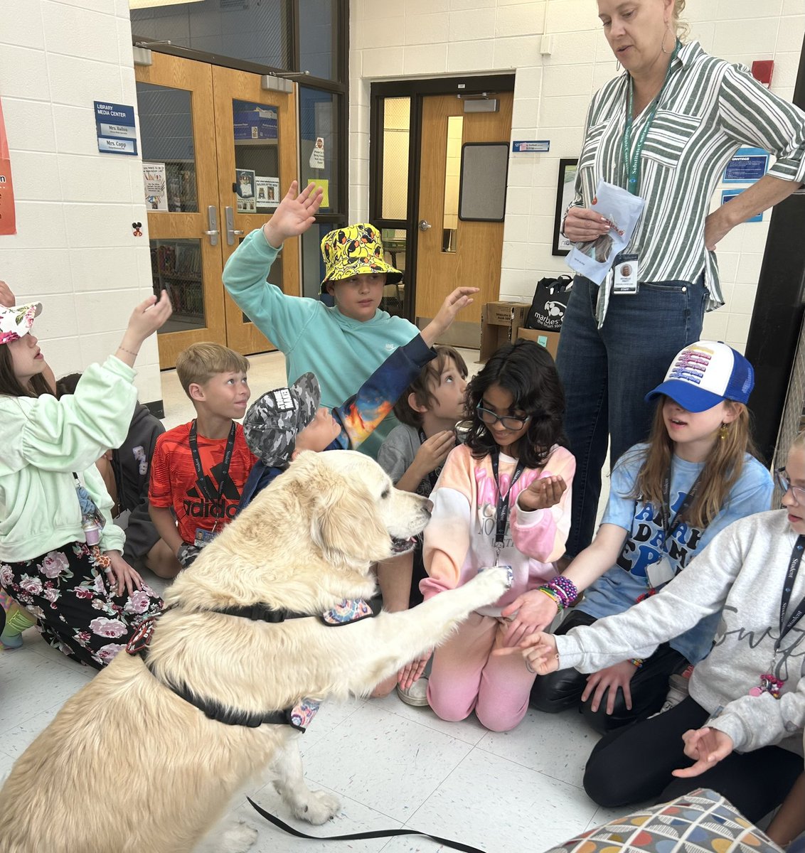 Sheila Wells tweet media