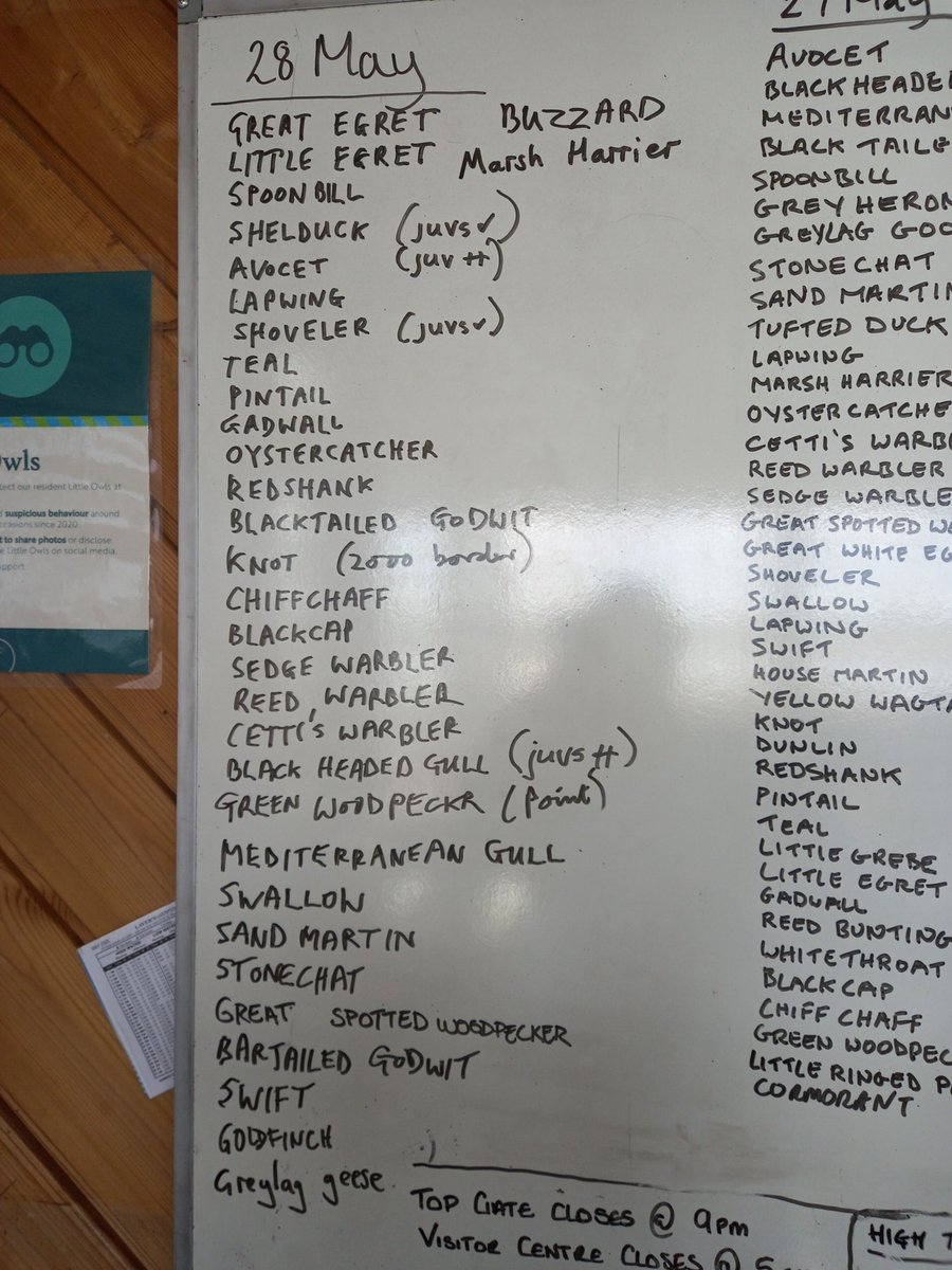 Earlier in the day there was a good sighting of a green woodpecker. Continued presence of avocets and their chicks, med gull is still sitting on the nest. Good day finished with great views of two marsh harriers over the main scrape and close views of a reed warbler.  #sightings