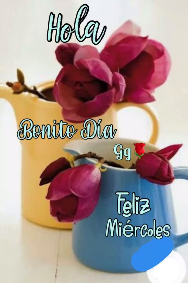 <a href="/OzunitaNormi/">🦋Normi🎶🎵🎶💛🐈💛</a> Que frío 😩 😣 😥 
Bonito Miércoles 😊 🤗 💕