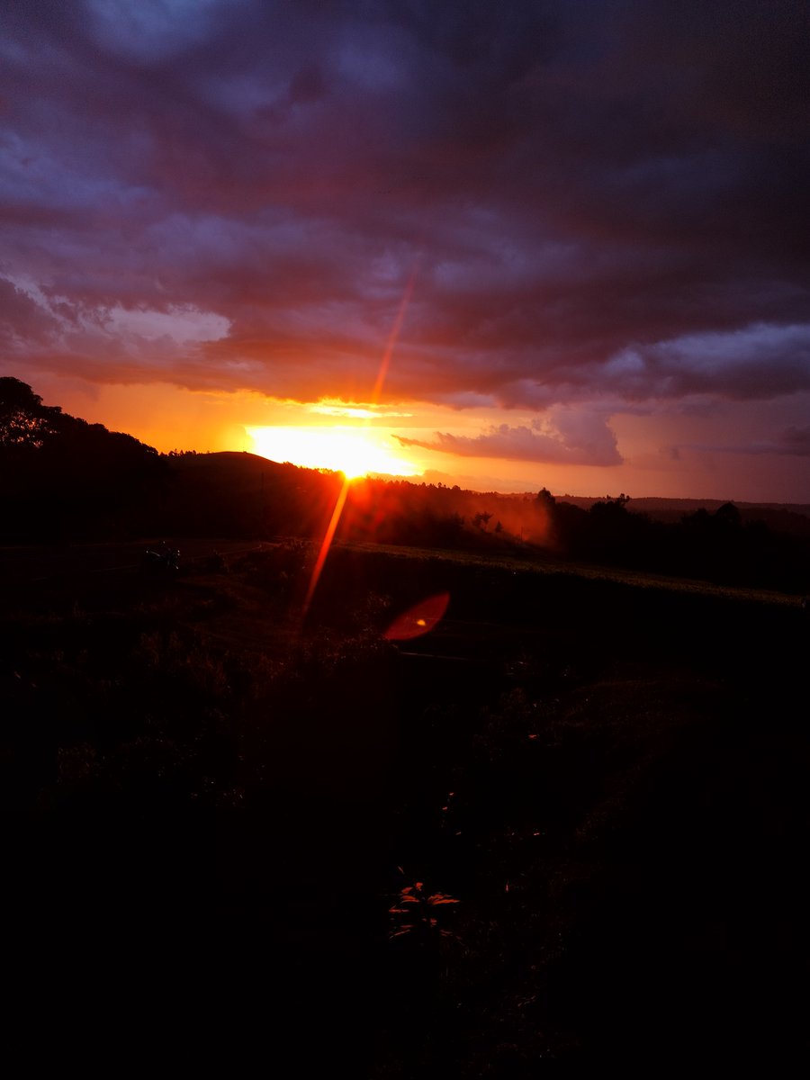 Sun is low. Colors in the sky. Moving slow.