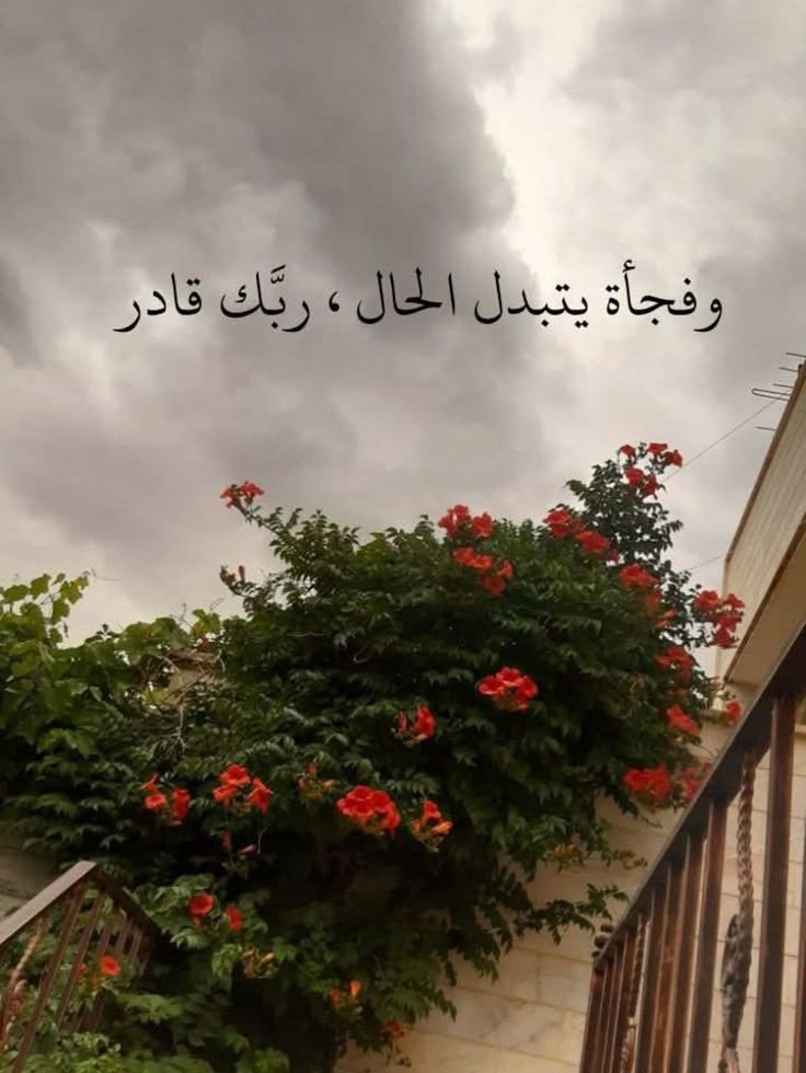 مُطمئِنةَ.! tweet media