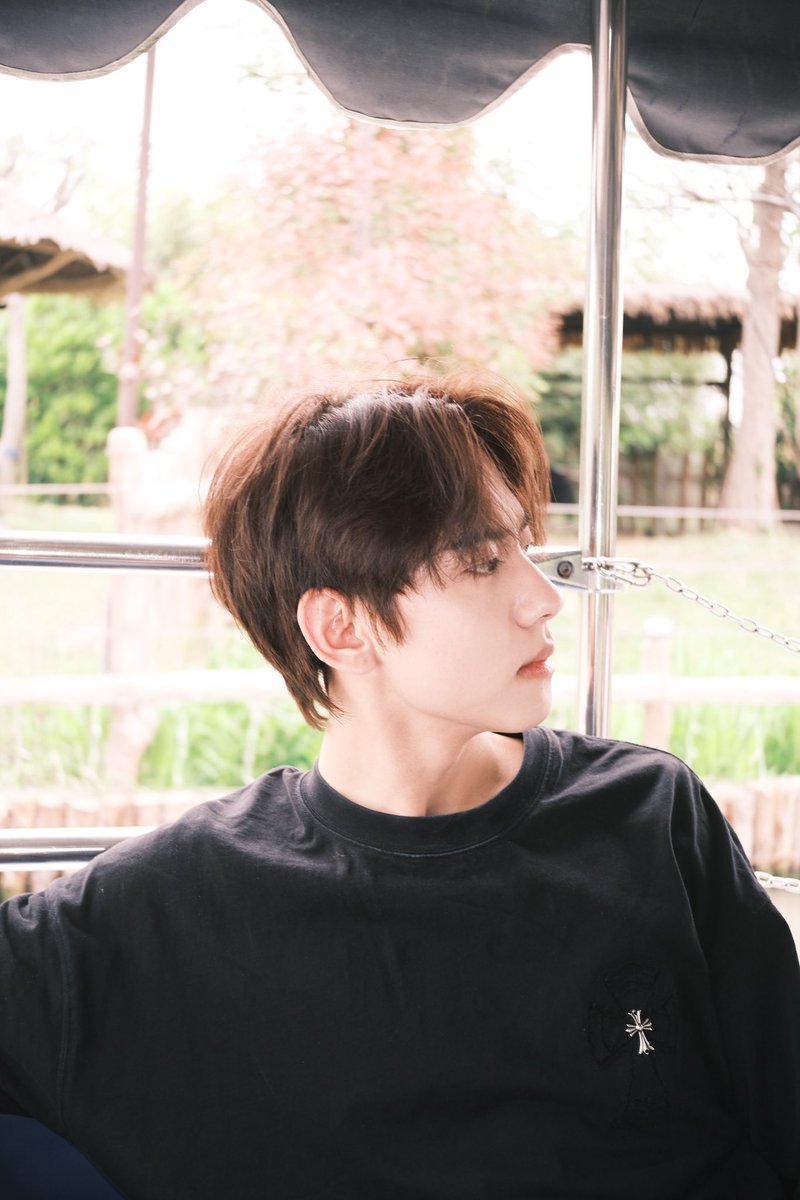 liu xuan cheng tweet media