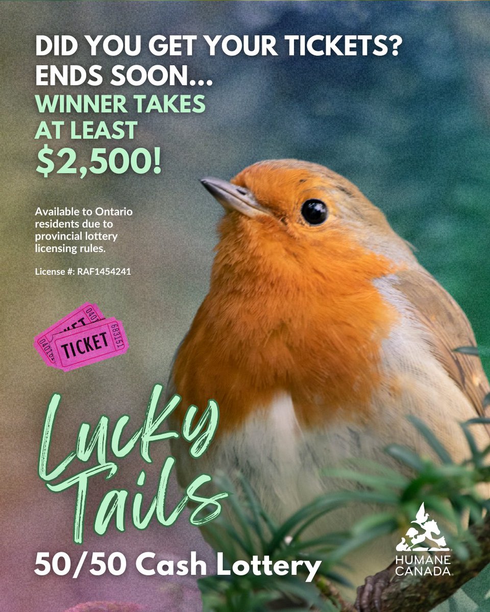 Feeling lucky? 🍀 Our 50/50 Cash Lottery is still ON!

💰 Prize over $5,000 (winner takes half!)
🐾 Supports animals nationwide
🗓️ Draw: June 3

Ontario only. Big win, big impact. ❤️

👉 Get your ticket(s) now: rafflebox.ca/raffle/luckyta…