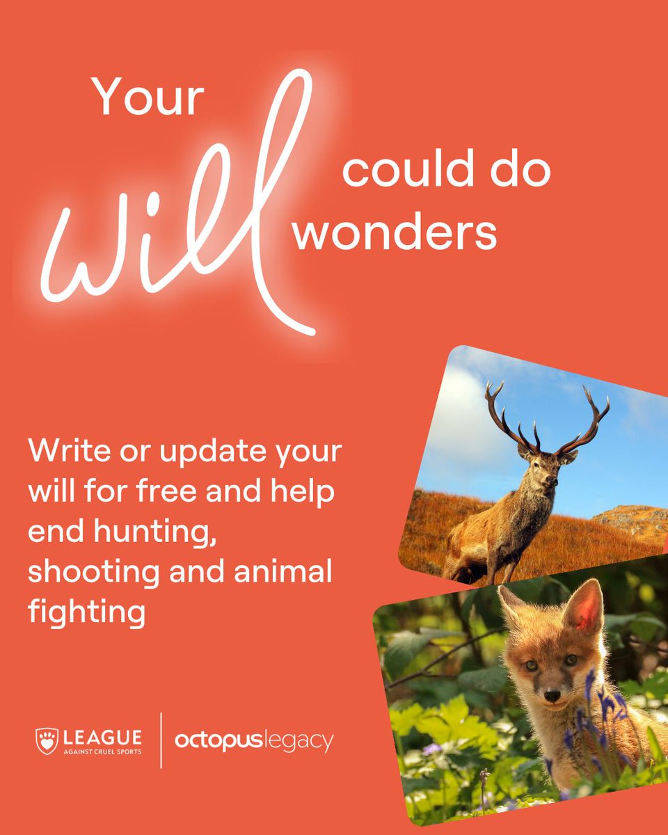 League Against Cruel Sports (@leagueacs) on Twitter photo Gifts in wills play a huge part in all that the League achieves to protect animals at risk from hunting, shooting, and animal fighting.
We’ve partnered with <a href="/octopuslegacy/">Octopus Legacy</a> to offer you the chance to write your will for FREE 👉 leagueacs.co.uk/I8uOT
#YourWillCouldDoWonders Gifts in wills play a huge part in all that the League achieves to protect animals at risk from hunting, shooting, and animal fighting.
We’ve partnered with <a href="/octopuslegacy/">Octopus Legacy</a> to offer you the chance to write your will for FREE 👉 leagueacs.co.uk/I8uOT
#YourWillCouldDoWonders