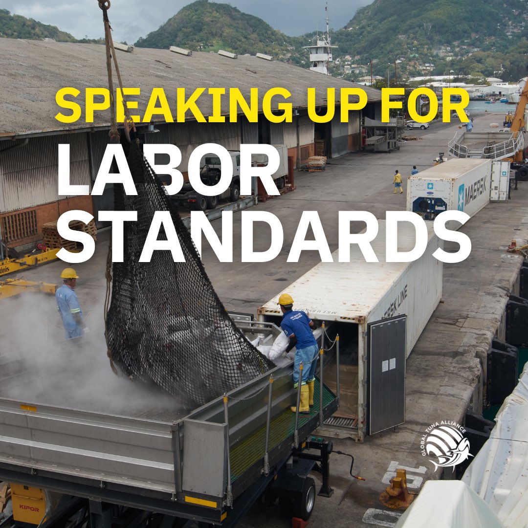 ⚠️ Although there has been some notable progress, labour standards continue to be a neglected issue in tuna supply chains.

But we’re here to keep the conversation alive.

♻️ Because a sustainable supply chain must be socially responsible.

Learn more 👉 globaltunaalliance.com/our-work/labor…