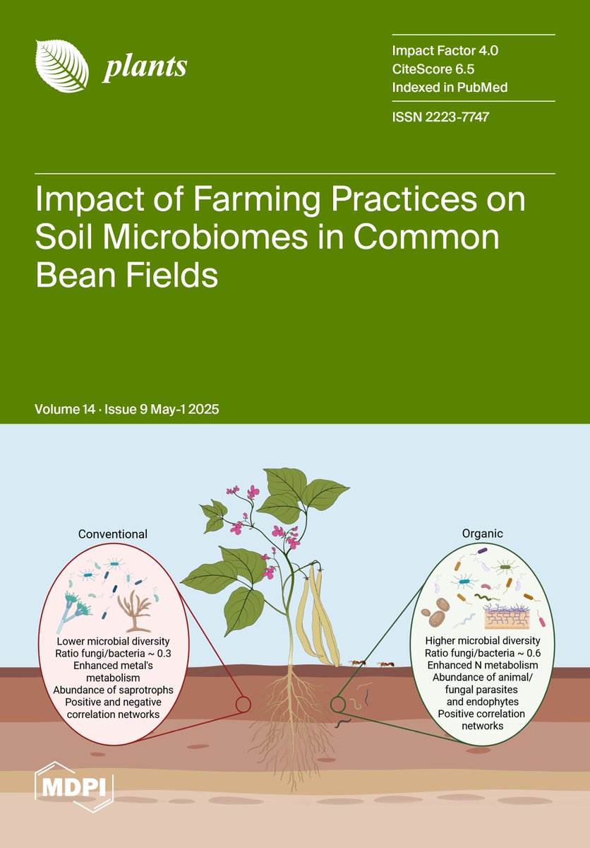 📚¡Nuevo artículo científico! 📚

El equipo de Genética Vegetal del SERIDA ha publicado un nuevo artículo en la revista Plants, con el nombre de "Impact of Farming System on Soil Microbial Communities Associated with Common Bean in a Region of Northern Spain". ✅

#SERIDA_GV