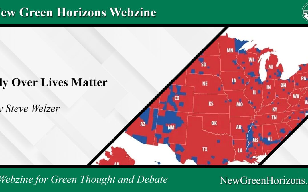 Our latest article is a "From the Archives" election analysis of the 2016 election that was published in the original Green Horizon magazine.

Read the article at newgreenhorizons.us/fly-over-lives…