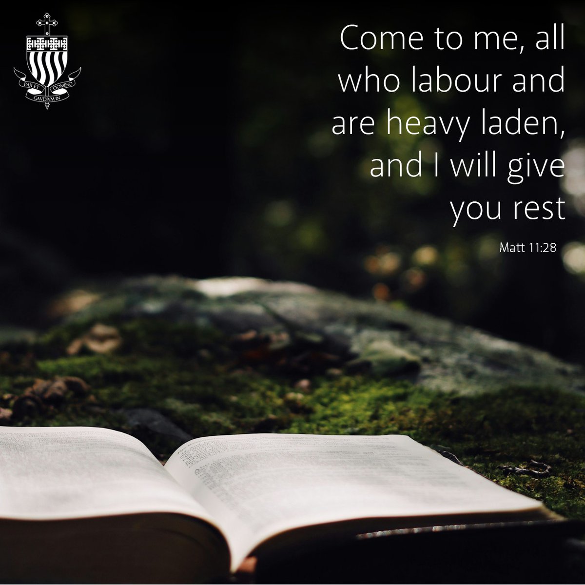 ABYouthMinistry's tweet image. God never promises to take away our problems, but He does guarantee that He will be with us through it all, providing strength, solace and rest.
abdiocese.org.uk/faith/home #GoodFather