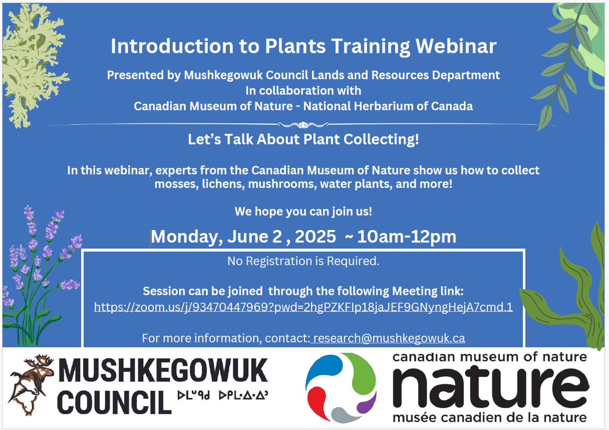 Mushkegowuk Lands and Resources is holding a webinar in collaboration with experts from the Canadian Museum of Nature on and how to collect plants.
The webinar, on Zoom, takes place June 2 starting at 10 a.m.
No registration is required. The Zoom link is: zoom.us/j/93470447969?…