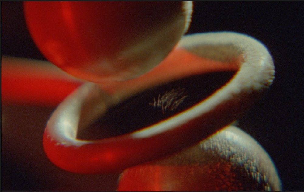 [Agenda]

Currently on view at @museummodernart, ‘Rosa Barba: The Ocean of One’s Pause’ presents 15 years of work by the Berlin-based Italian artist, focusing on the material and spatial possibilities of cinema. 

📍 On view until July 6, 2025 
🔗 ow.ly/gKRO50VYLIh