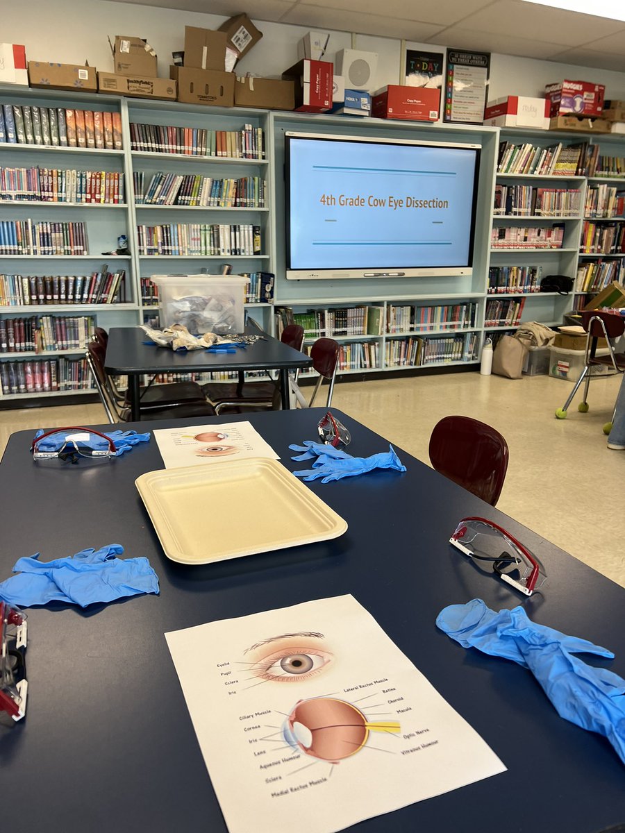 Victoria (Schilling) Curtis tweet media