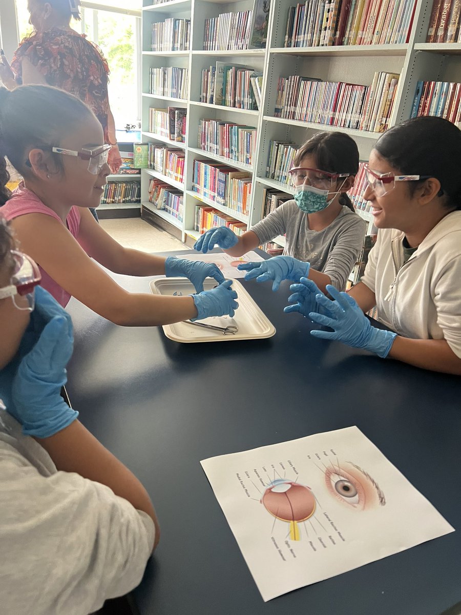 Victoria (Schilling) Curtis tweet media