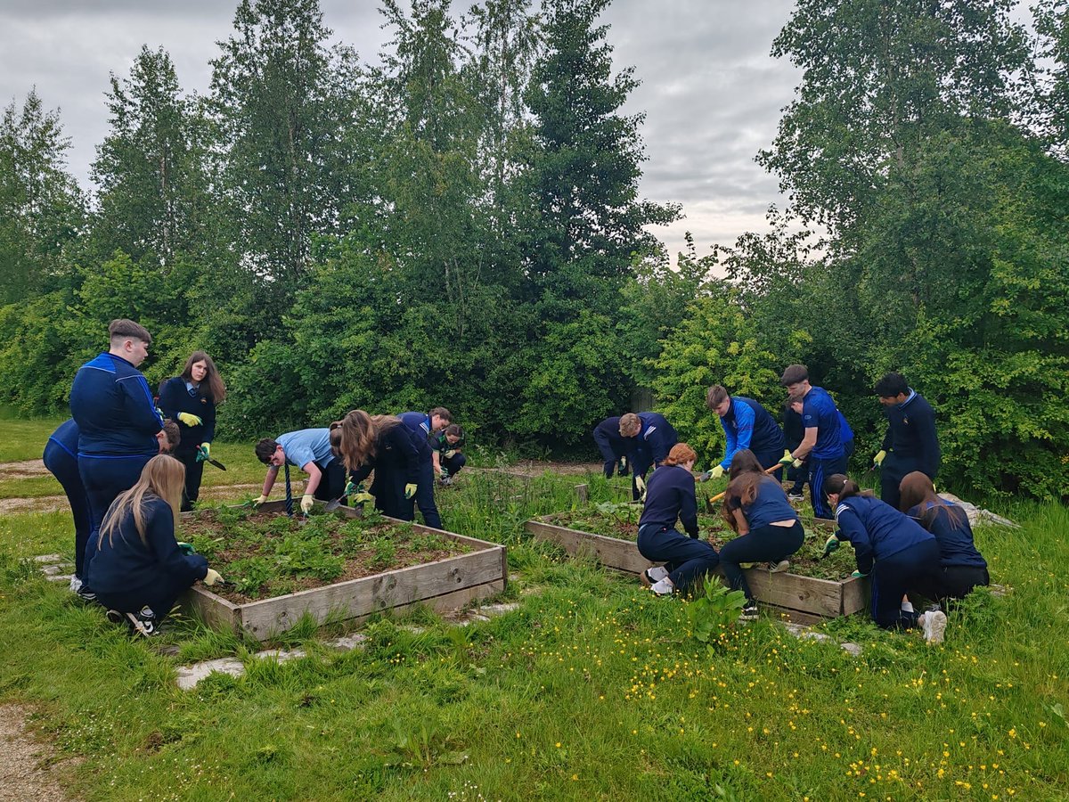 Comeragh College (@comeraghcollege) on Twitter photo Ms. O’Loughlin and Ms. Stuart’s Ag. Science and Biology classes were very busy this week ensuring our raised beds are in order for the summer months ahead 🌱🪴👩🏼🌾🧑🏻🌾 <a href="/TipperaryETB/">Tipperary Education and Training Board</a> Ms. O’Loughlin and Ms. Stuart’s Ag. Science and Biology classes were very busy this week ensuring our raised beds are in order for the summer months ahead 🌱🪴👩🏼🌾🧑🏻🌾 <a href="/TipperaryETB/">Tipperary Education and Training Board</a>