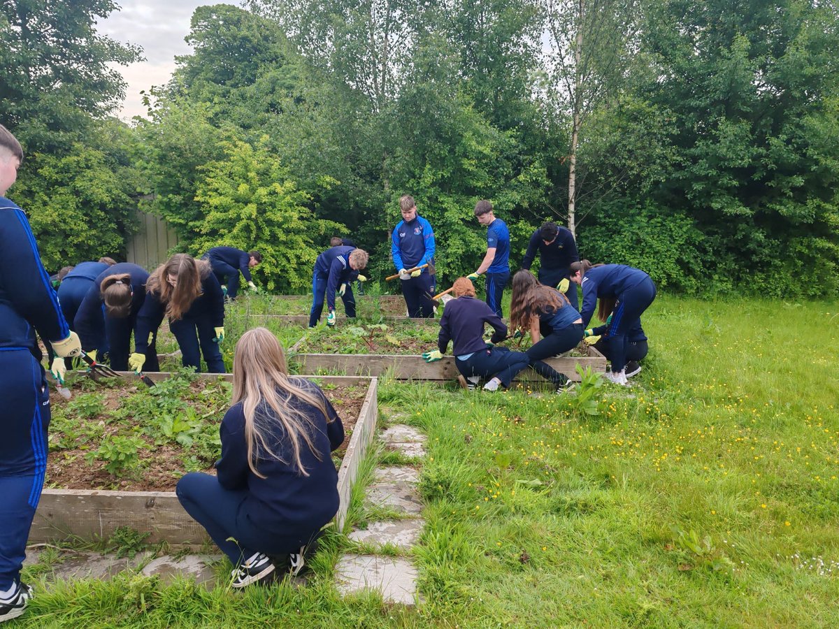 ComeraghCollege's tweet image. Ms. O’Loughlin and Ms. Stuart’s Ag. Science and Biology classes were very busy this week ensuring our raised beds are in order for the summer months ahead 🌱🪴👩🏼🌾🧑🏻🌾 @TipperaryETB