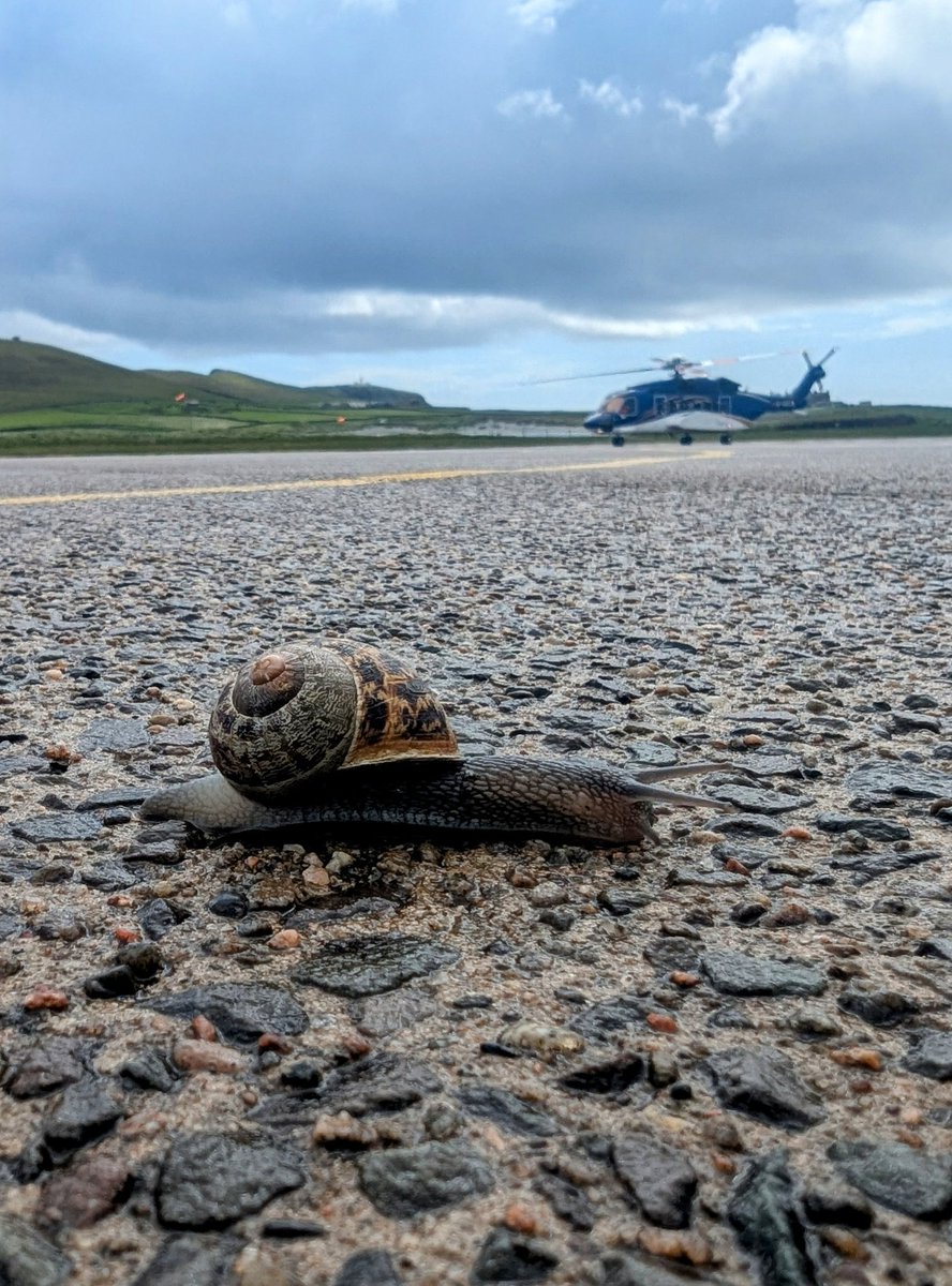 John Moncrieff tweet media