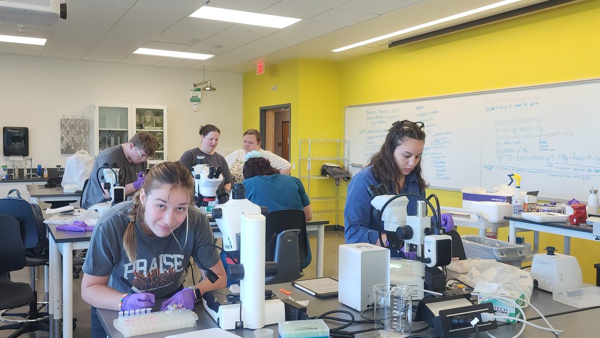 Becky Trout Fryxell tweet media