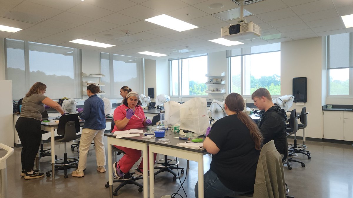 Becky Trout Fryxell tweet media