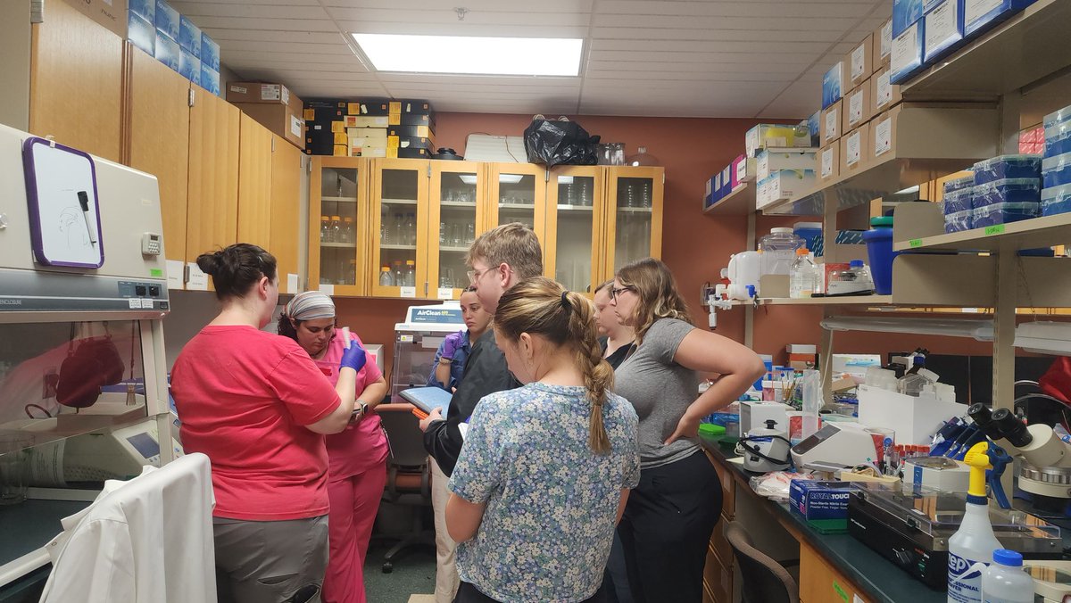 Becky Trout Fryxell (@drvectorbio) on Twitter photo Eager minds want to know!
Last year our <a href="/VectorEDNetwork/">VectorED Network</a> interns collected ticks from Union county TN
This MayTerm, the 2025 group & EPP531 students are screening the collected LoneStarTicks for Ehrlichia & BlackleggedTicks for Borrelia.
<a href="/utepp/">dadang</a> <a href="/UT_Herbert/">Herbert College of Agriculture</a>
Results tomorrow! Eager minds want to know!
Last year our <a href="/VectorEDNetwork/">VectorED Network</a> interns collected ticks from Union county TN
This MayTerm, the 2025 group & EPP531 students are screening the collected LoneStarTicks for Ehrlichia & BlackleggedTicks for Borrelia.
<a href="/utepp/">dadang</a> <a href="/UT_Herbert/">Herbert College of Agriculture</a>
Results tomorrow!