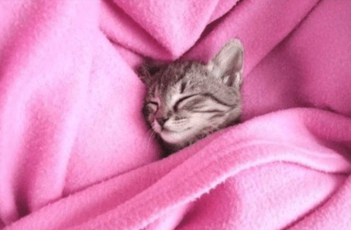 I am going to need to take a vacation this week. I am so tired from all the investigations I have been doing. So, no video this weekend. I will be back next week.