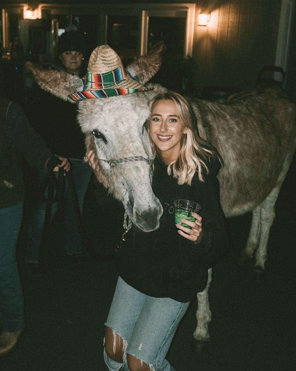 theashleycooke's tweet image. every end of tour party should include a donkey. @kanebrown @m10penny 🫶