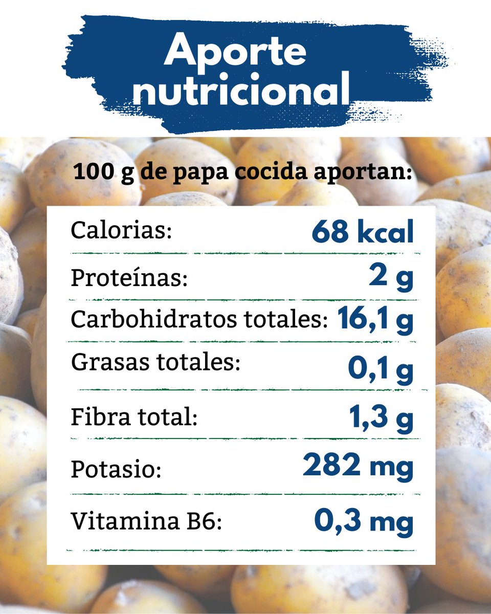 CANIAoficial's tweet photo. Las papas son un tubérculo nutritivo y esencial en muchos países alrededor del mundo. 🥔

Incluir este alimento en tu alimentación de manera equilibrada y en preparaciones saludables puede aportar grandes beneficios para la salud. 💯 https://t.co/WT744vjzpN