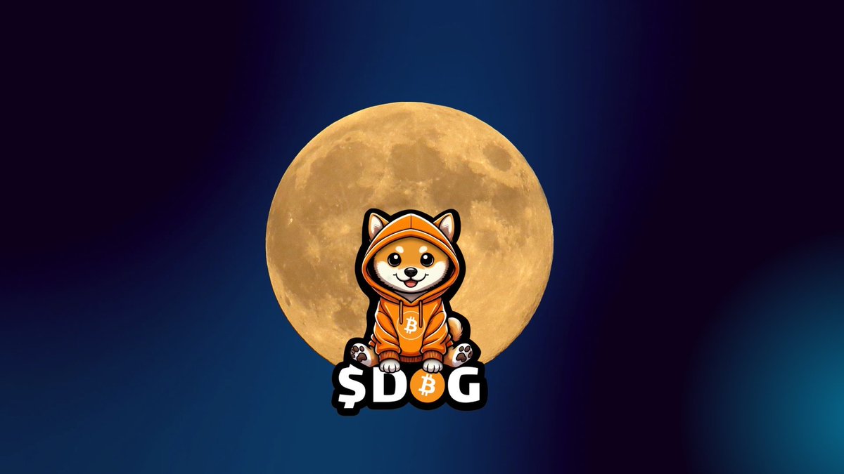 kevyo7529's tweet photo. @PeppoMoraDog @solana @DogOfBitcoin @007Nft_Buster @birth2497 🫡$DOG https://t.co/0quohWT8nh