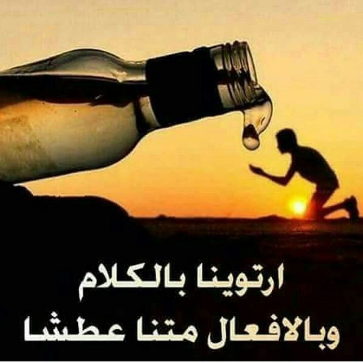 عبير الورد 🌹🌹 (@gghh5282) on Twitter photo 
