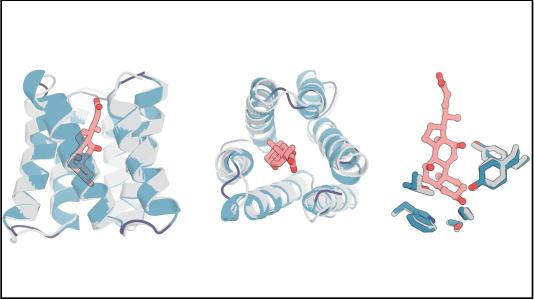 DOE Office of Science (@doescience) on Twitter photo Small molecules - big impact! Better sensors for small molecules could improve how doctors calculate drug dosages & patients monitor their conditions. Using AI & <a href="/advancedphoton/">Advanced Photon Source</a>, scientists created a method to make protein sensors for small molecules: anl.gov/article/breaki… Small molecules - big impact! Better sensors for small molecules could improve how doctors calculate drug dosages & patients monitor their conditions. Using AI & <a href="/advancedphoton/">Advanced Photon Source</a>, scientists created a method to make protein sensors for small molecules: anl.gov/article/breaki…