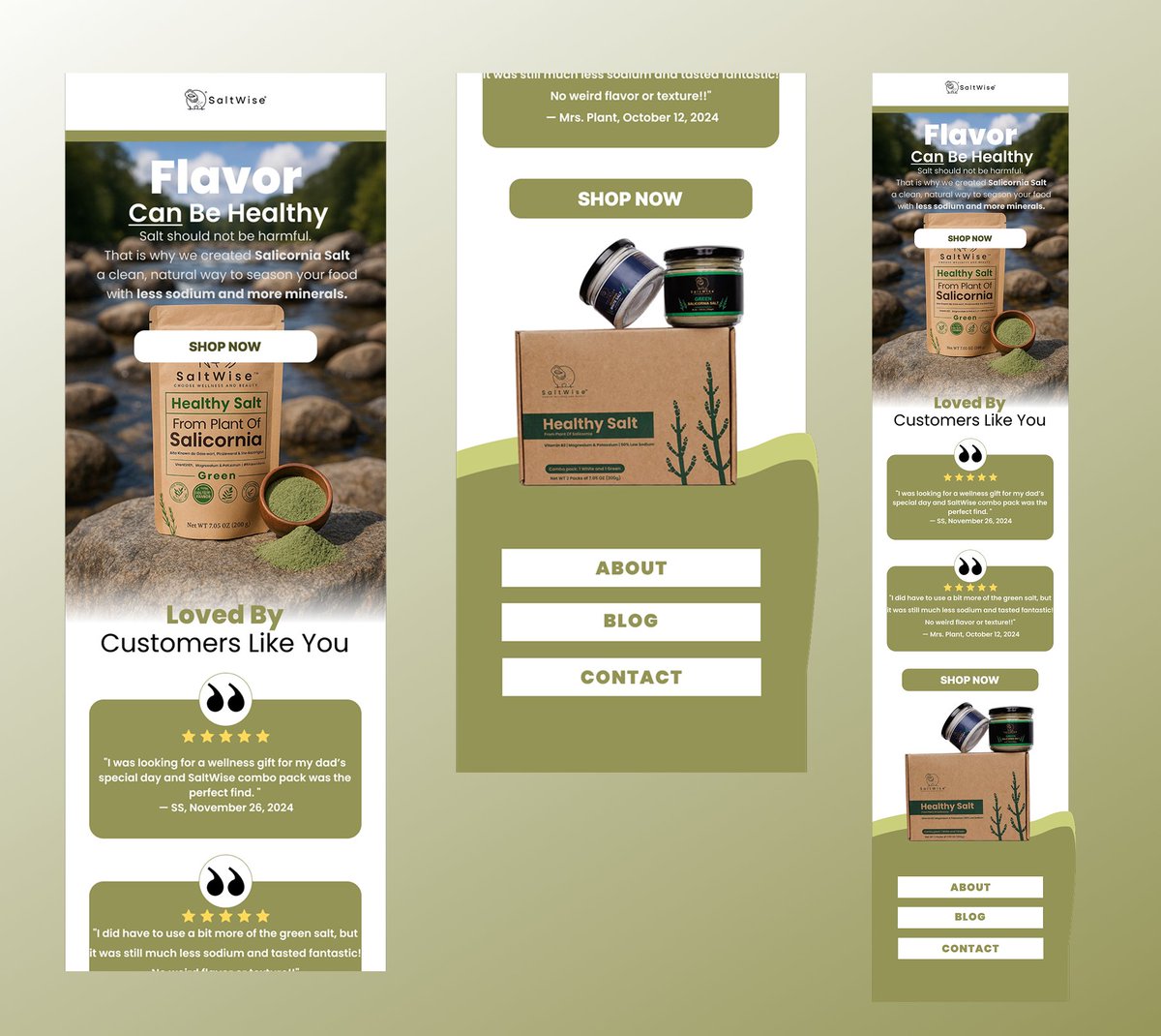 brewercopy's tweet image. Email Design For SaltWise: