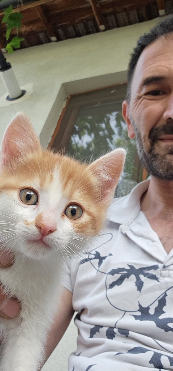 Ölülerin mezarına çiçek dikenler,dirlerin çiçek bahçesini talan ediyor öyle garip bir dünya.