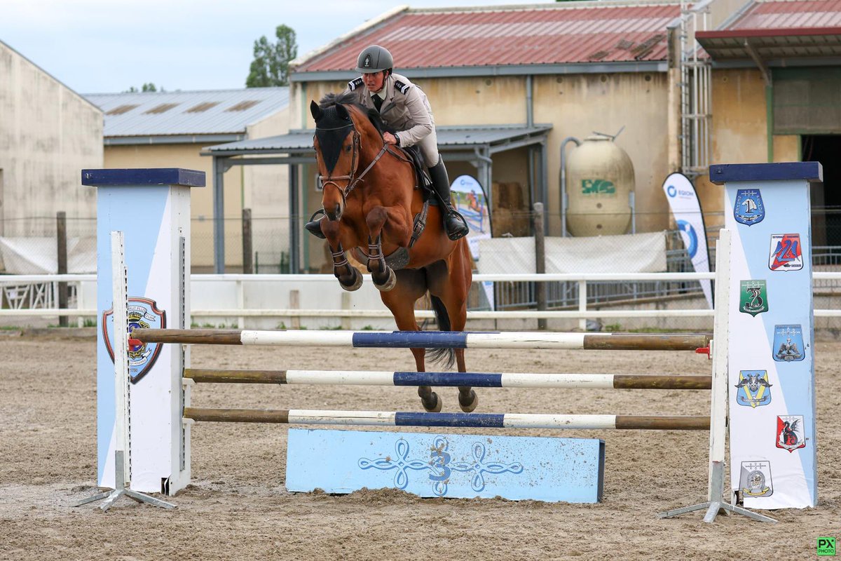 Le 8 mai, aux écuries des 4 Vents, le MDL Léa et Hopla Mouche*Mili ont brillamment représenté le régiment lors de l’épreuve Hunter Amateur 2 Mixte 1m05, décrochant la 1re place.

Une performance qui illustre l’excellence, la rigueur et la précision.

#fiersdenossoldats