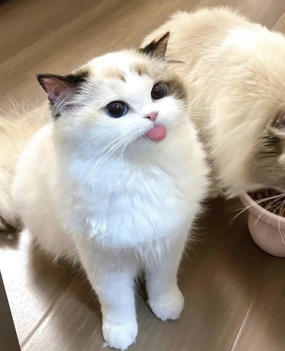 😛