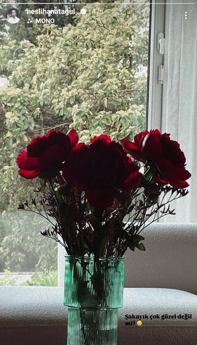 NeslihanAtagül'ın Instagram  hikayeleri paylaşımı🤍

#NeslihanAtagül <a href="/neslihanatagul/">Neslihan A. Doğulu</a>