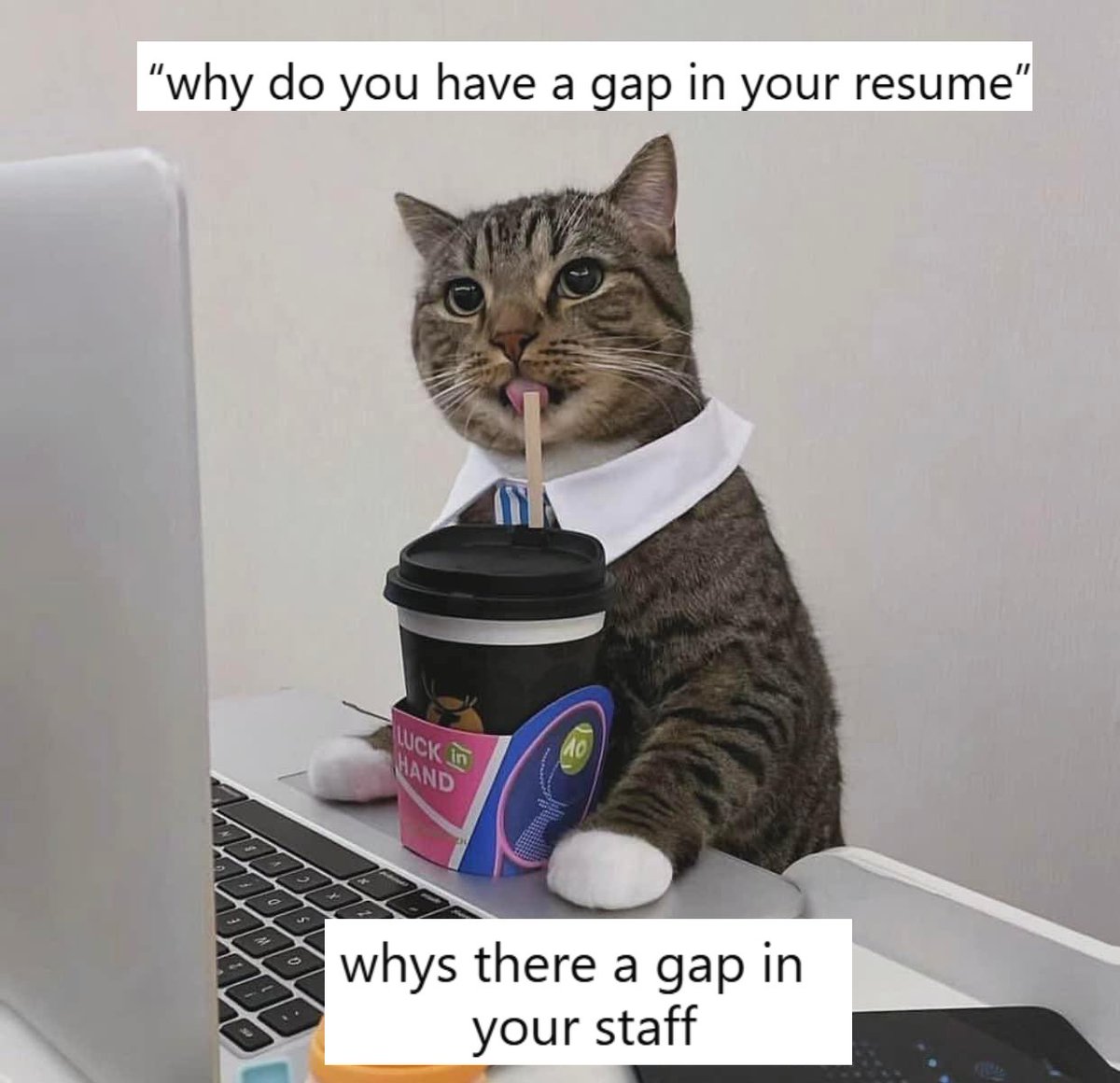 CatWorkers's tweet photo. *sits back and slurps* https://t.co/VVHQYv4o0m