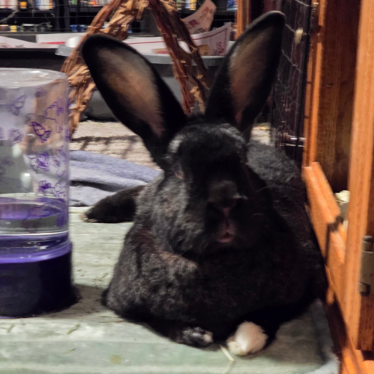 today marks 2 WONDERFUL YEARS with the greatest love of my life. every day with you has been the greatest ever and becoming your bundad will continue to be the greatest (and easiest) decision of my life :) I love you so much Winston!