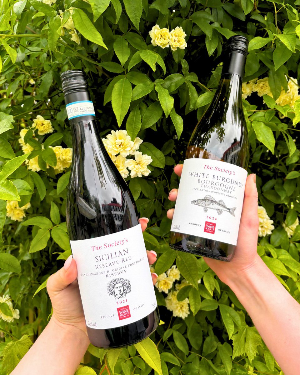 Two member favourites. One choice to make 🍷

Do you lean towards crisp, citrusy White Burgundy or bold, sun-soaked Sicilian Reserve Red?

We’ve held the prices on own-label, so it’s a good time to taste test and find out.

Which one’s going in your basket?