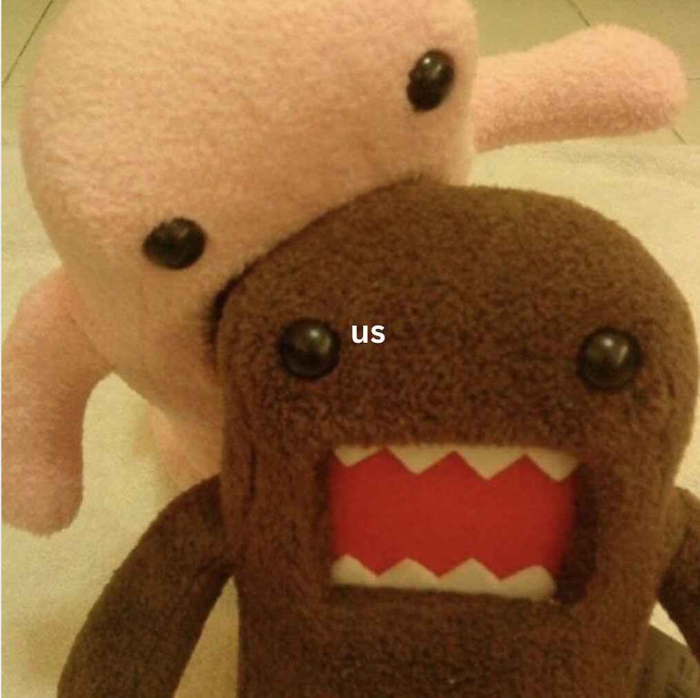 Out Of Context Animals (@animalscontexts) on Twitter photo 